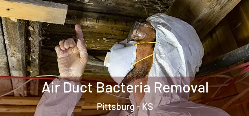  Air Duct Bacteria Removal Pittsburg - KS