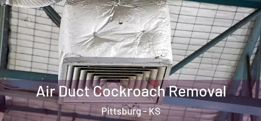 Air Duct Cockroach Removal Pittsburg - KS