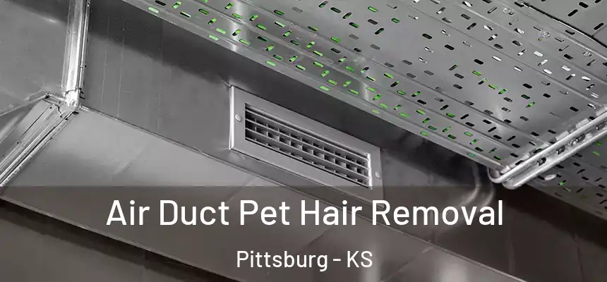  Air Duct Pet Hair Removal Pittsburg - KS