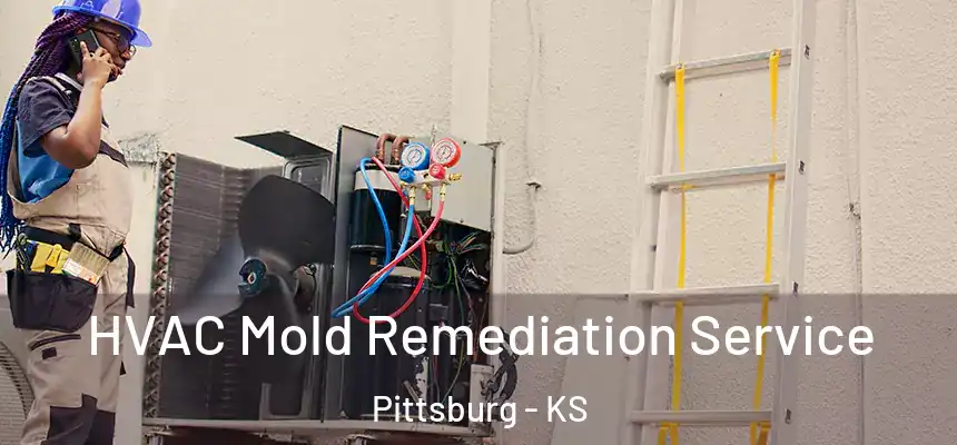  HVAC Mold Remediation Service Pittsburg - KS