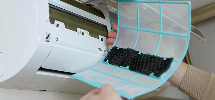 Gentle Ductwork Odor-Control Pet Dander Duct Cleaning in Pittsburg, KS