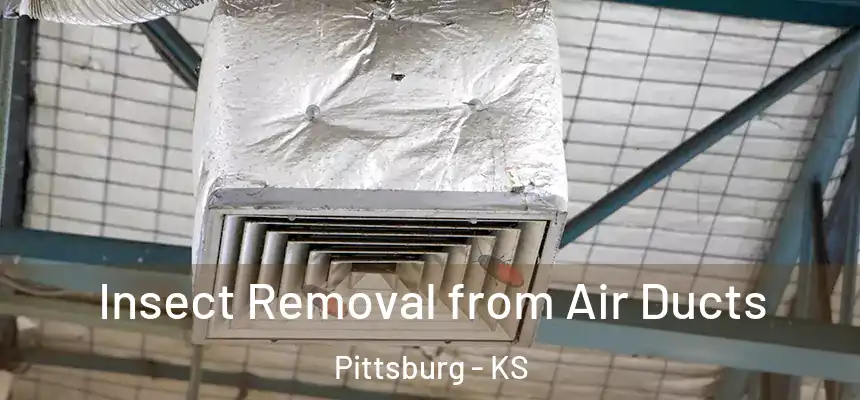  Insect Removal from Air Ducts Pittsburg - KS