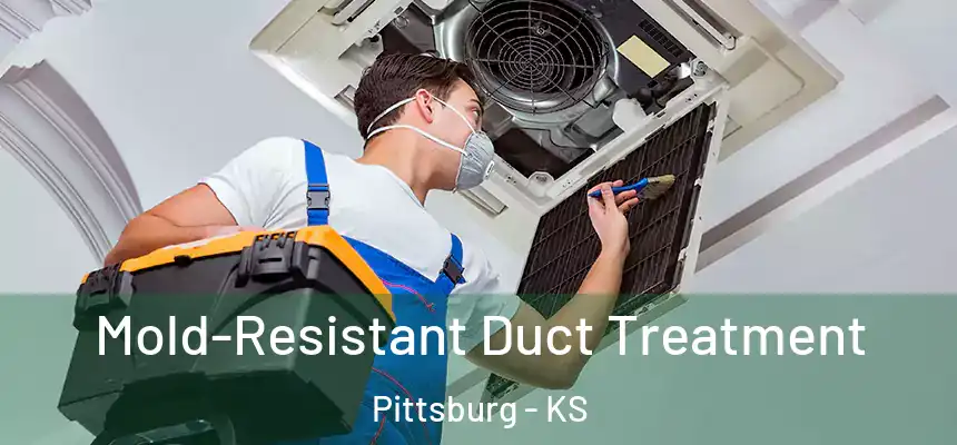  Mold-Resistant Duct Treatment Pittsburg - KS