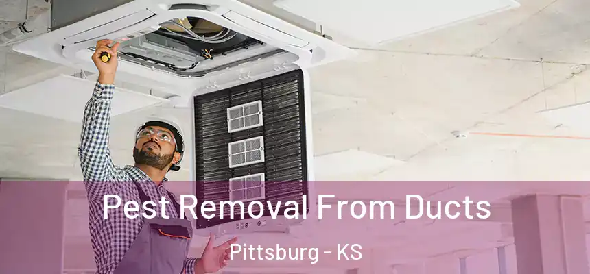  Pest Removal From Ducts Pittsburg - KS