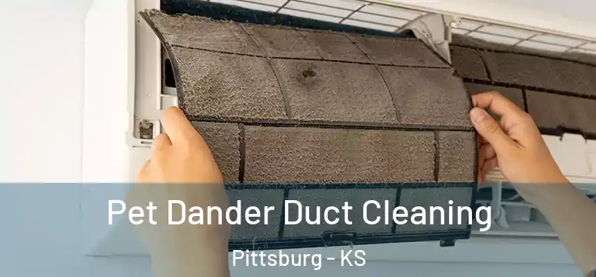 Pet Dander Duct Cleaning Pittsburg - KS
