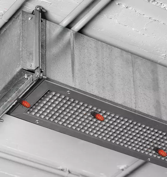 Affordable Insect Removal from Air Ducts in Pittsburg, KS